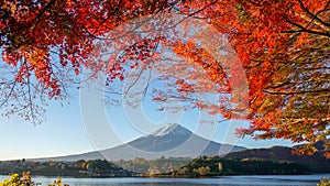 Beautiful sky and autumn and Fujisan mountain, Japan