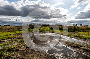 Beautiful sky with clouds is reflected in a puddle on a country road