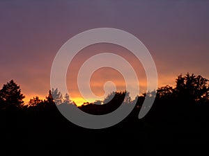 Sun setting behind tree line