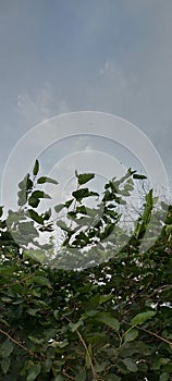 Beautiful  Sky Iamge