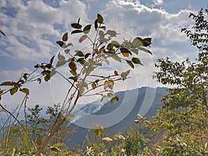 Beautiful sky in mountain area of Phongsali province, Laos