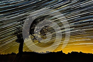 Beautiful sky at night with startrails