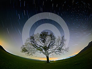 Beautiful sky at night with startrails and silhouette of tree