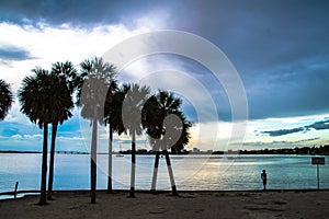 Silhouette of palm trees over the water. Serenity on the sea. Dusk to dawn, sunrise to sunset, over the calm waters of Sarasota Ba