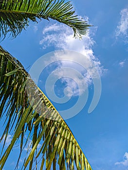 Beautiful sky at summering