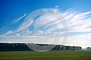 Beautiful sky and trees on horizont in autumn forest, bright sunlight at sunset