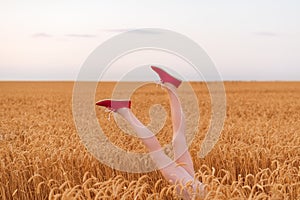 Beautiful slender female legs sticking out of field of ripe wheat. gluten free concept