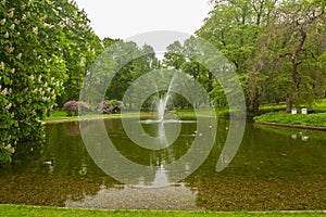 Slottsparken pond view in the city oslo photo