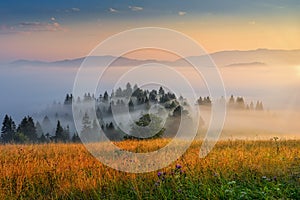 Beautiful landscape with valleys, sun and fog in Pieniny mountains