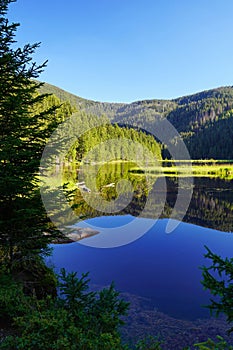 Beautiful Small Arber lake in the Bavarian Forest, Germany