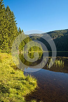 Beautiful Small Arber lake in the Bavarian Forest, Germany