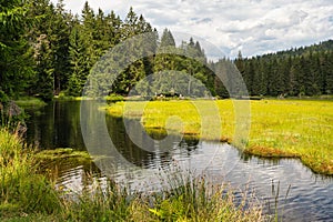 Beautiful Small Arber lake in the Bavarian Forest, Germany