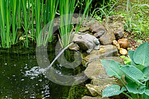 Beautiful small garden pond with a frog-shaped fountain and stone shores in spring