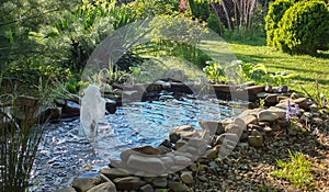 Beautiful small garden pond with a stone beach and a fountain against the background of an evergreen garden. In the pond with a st