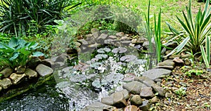 Beautiful small garden pond with stone shores and many decorative evergreens spring after rain
