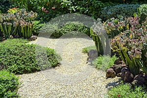 Beautiful small gravel garden, decorated with light brown pebble in the middle, brown stone, cactus, green ground cover plant