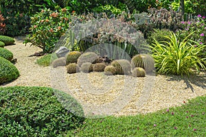 Beautiful small gravel garden, decorated with light brown pebble in the middle, brown stone, cactus, green leafs ground cover