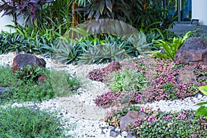 Beautiful small gravel garden, decorated with white shell, brown stone, colorful ground cover plant and green shrubs photo