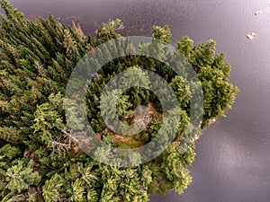 Beautiful small island with forest calm lake shore near Algonquin Park Canada