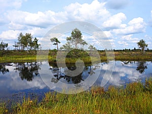 Beautiful small lake in Aukstumalos swamp, Lithuania