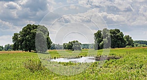 Beautiful small lake located near by trees under cloudy sky