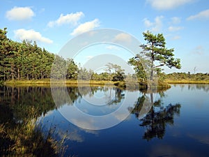 Beautiful small lake with small island in Aukstumalos swamp, Lithuania