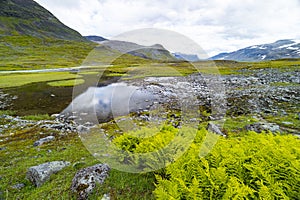 A beautiful small mountain lake in Sarek National Park, Sweden during august.