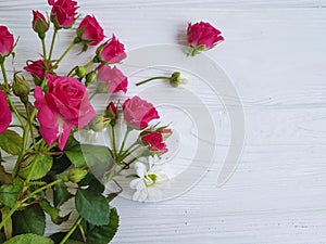 Beautiful small pink roses on event border vintage white wooden, freshness place for text