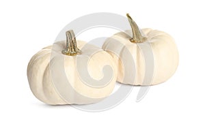 Beautiful small ripe pumpkins on white