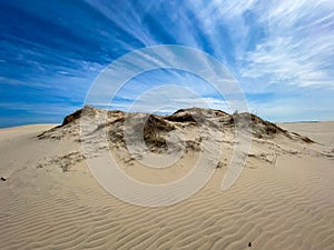 Beautiful small sand dune in the desert RÃÂ¥bjerg Mile in the touristic village of Skagen in Northern Denmark, Jutland