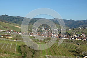 Beautiful small town in a valley sourrounded by vineyards in the Black forest, Germany