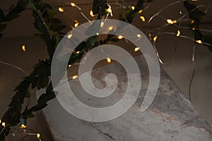 Beautiful small warm light garland with branch for new year, wedding. Cozy and cute background. Soft focus