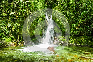 Beautiful small waterfall in green forest with stones in river at Mindo