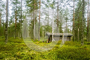 A beautiful small wooden building in the middle of Finnish forest