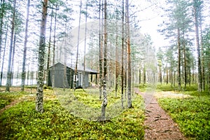 A beautiful small wooden building in the middle of Finnish forest