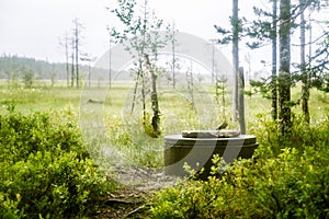 A beautiful small wooden building in the middle of Finnish forest