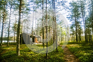 A beautiful small wooden building in the middle of Finnish forest