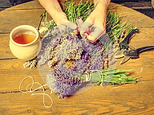 Beautiful smell violet wild Lavender bouquet in the hand, scissors