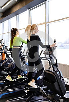 Athletic woman doing fitness cardio exercises in the gym on stepper machine. Two sporty women working out together