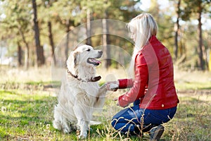 Beautiful smiling dog walking with owner outdoors. Pet concept.