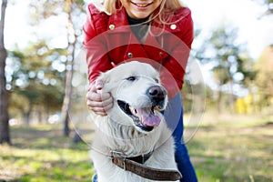 Beautiful smiling dog walking with owner outdoors. Pet concept.