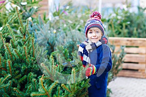 Beautiful smiling little boy holding christmas tree