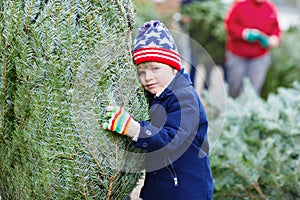 Beautiful smiling little boy holding christmas tree