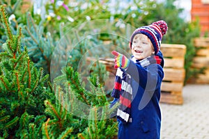 Beautiful smiling little boy holding christmas tree