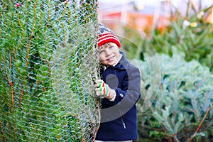 Beautiful smiling little boy holding christmas tree