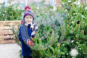 Beautiful smiling little boy holding christmas tree