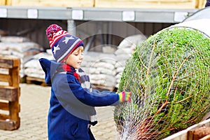 Beautiful smiling little boy holding christmas tree