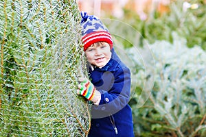 Beautiful smiling little boy holding christmas tree