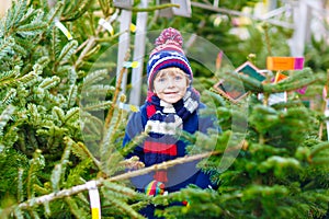 Beautiful smiling little boy holding christmas tree