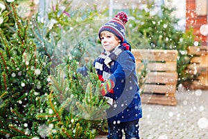 Beautiful smiling little boy holding christmas tree